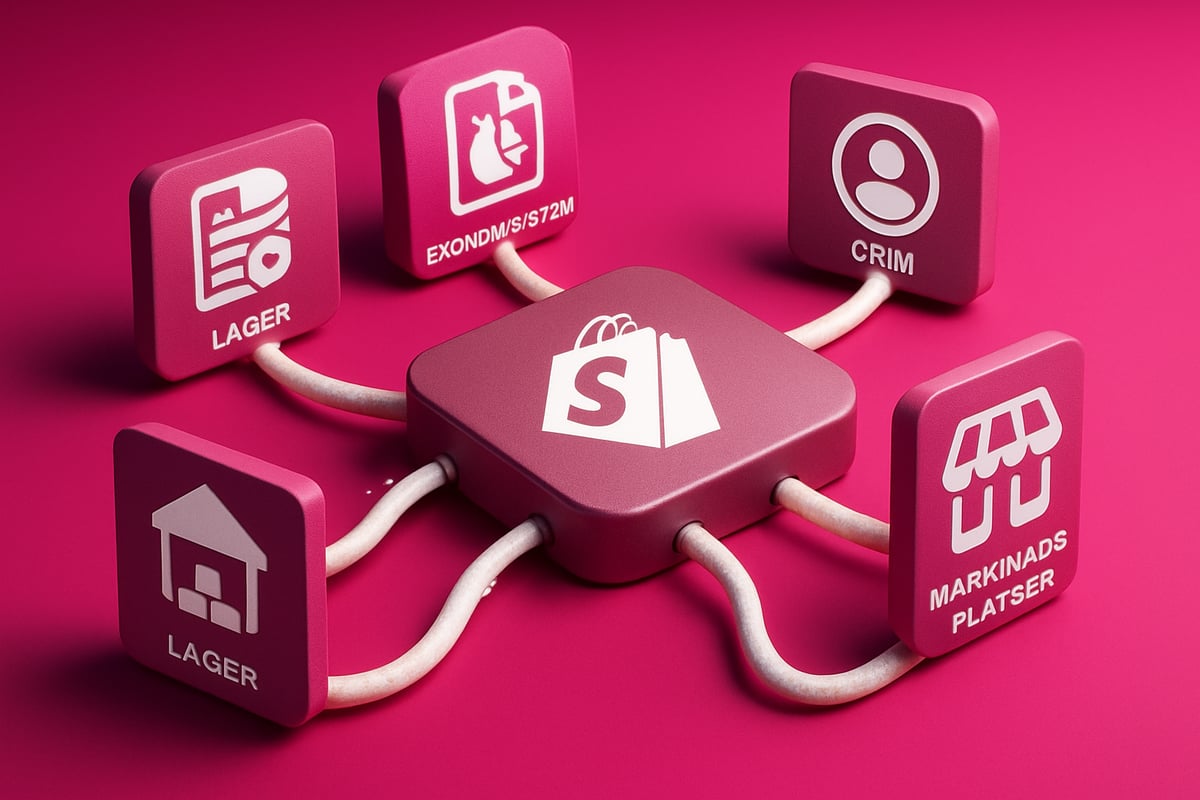 Vad är en Shopify-integration?