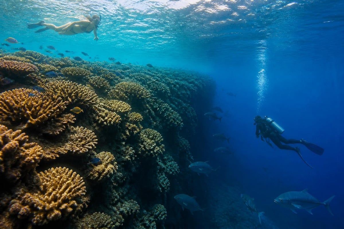Marine biodiversity zones