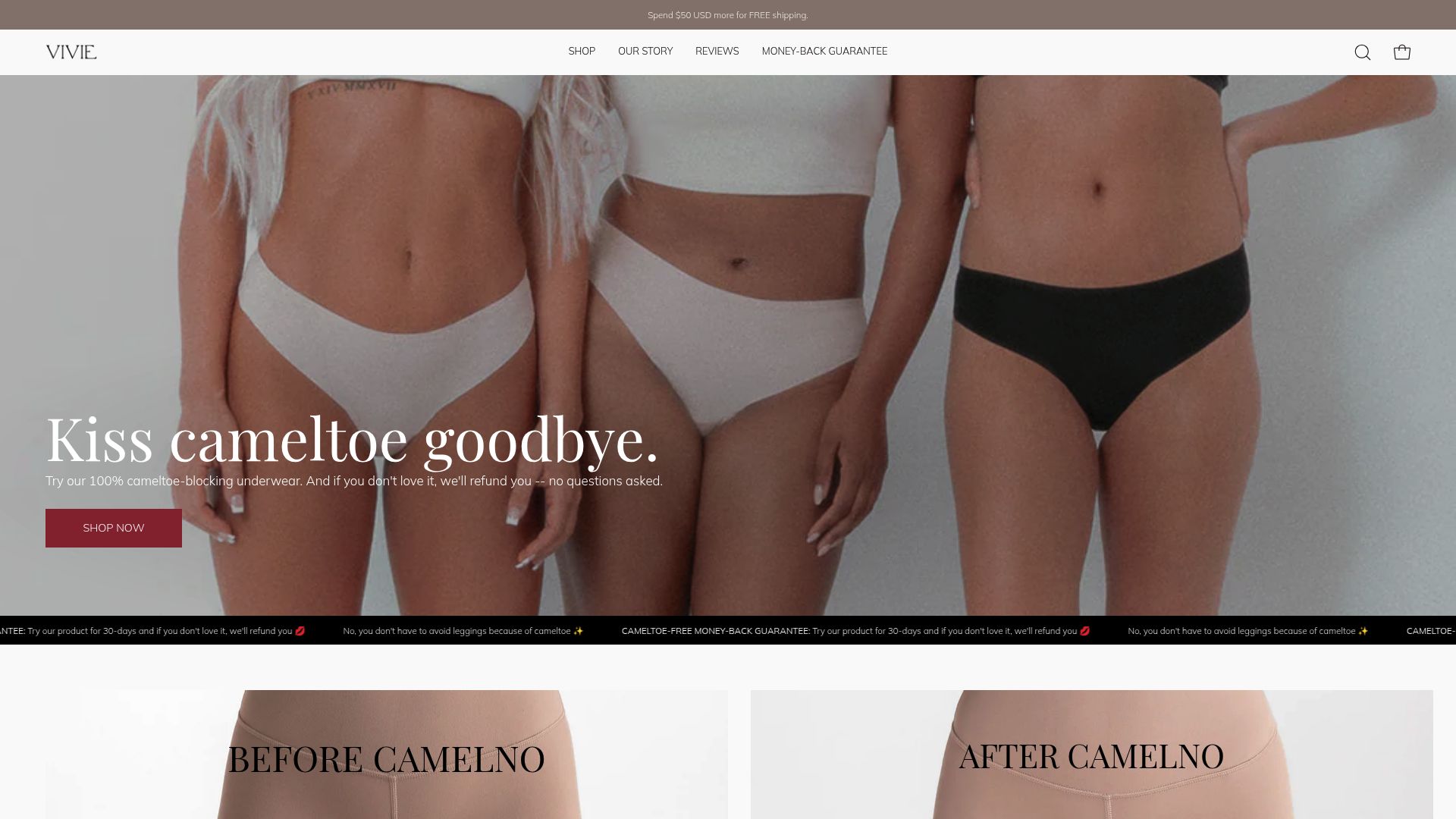 7 Best Camel Toe Free Underwear Picks for 2025 - Vivie Intimates No-Show Briefs