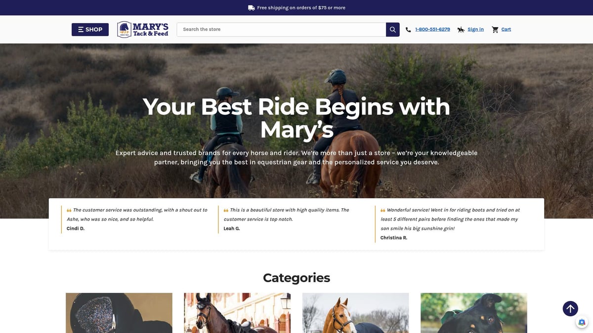 7 Best Horse Tack Store Near Me Picks for 2025 - Mary’s Tack & Feed