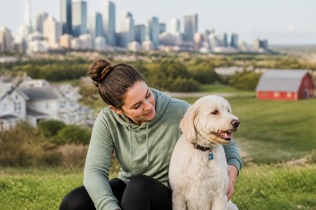 Regional dog sitting cost comparison