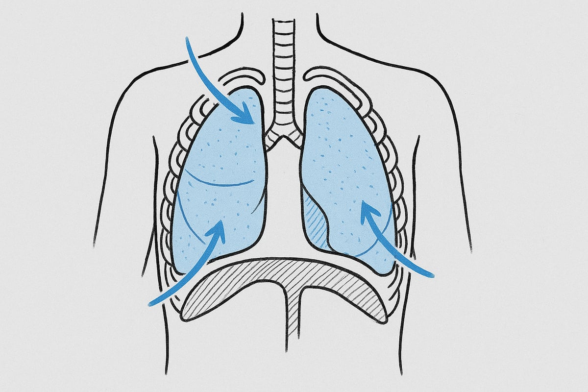 Vejrtrækningens Fysiologi: Sådan Foregår Processen