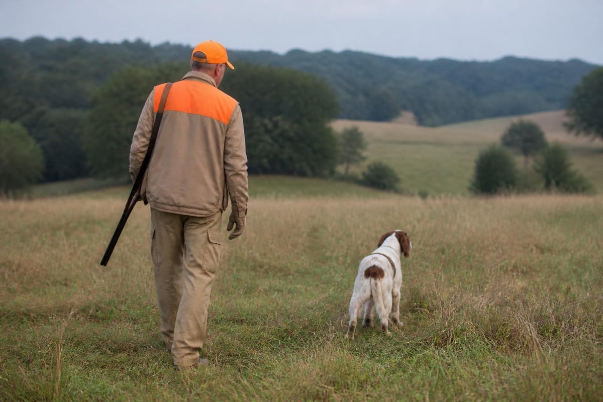 Pike County terrain and habitat features