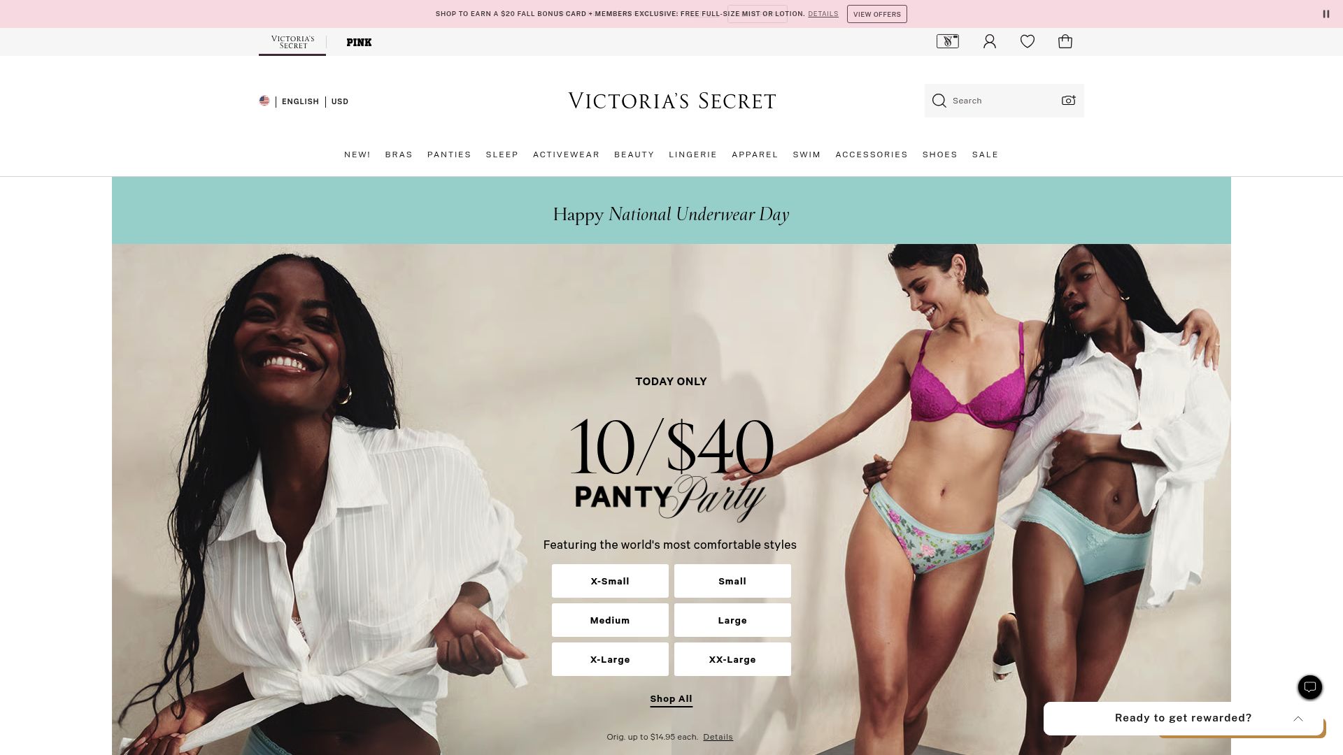 7 Best Underwear for Camel Toe Solutions in 2025 - Victoria’s Secret No-Show Hiphugger Panty