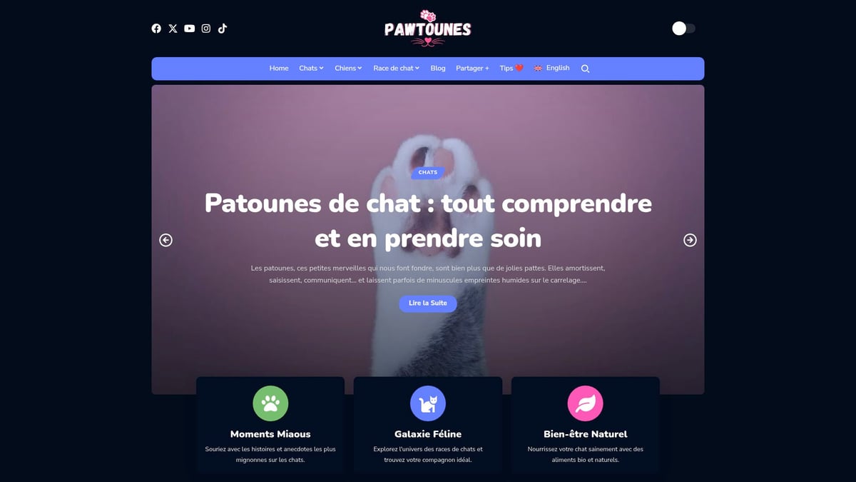 Pawtounes - Guide Complet du Chat Tigré Poil Long en 2025 - Guide Complet du Chat Tigré Poil Long en 2025 - Découvrir plus de conseils et d’anecdotes sur le chat tigré poil long avec Pawtounes