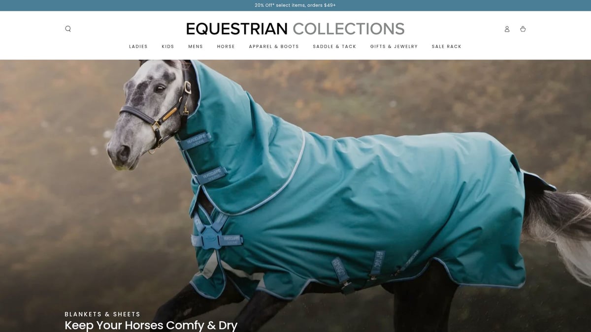 7 Best Saddlery Sale Deals to Grab in 2026 - Equestrian Collections Mega Sale