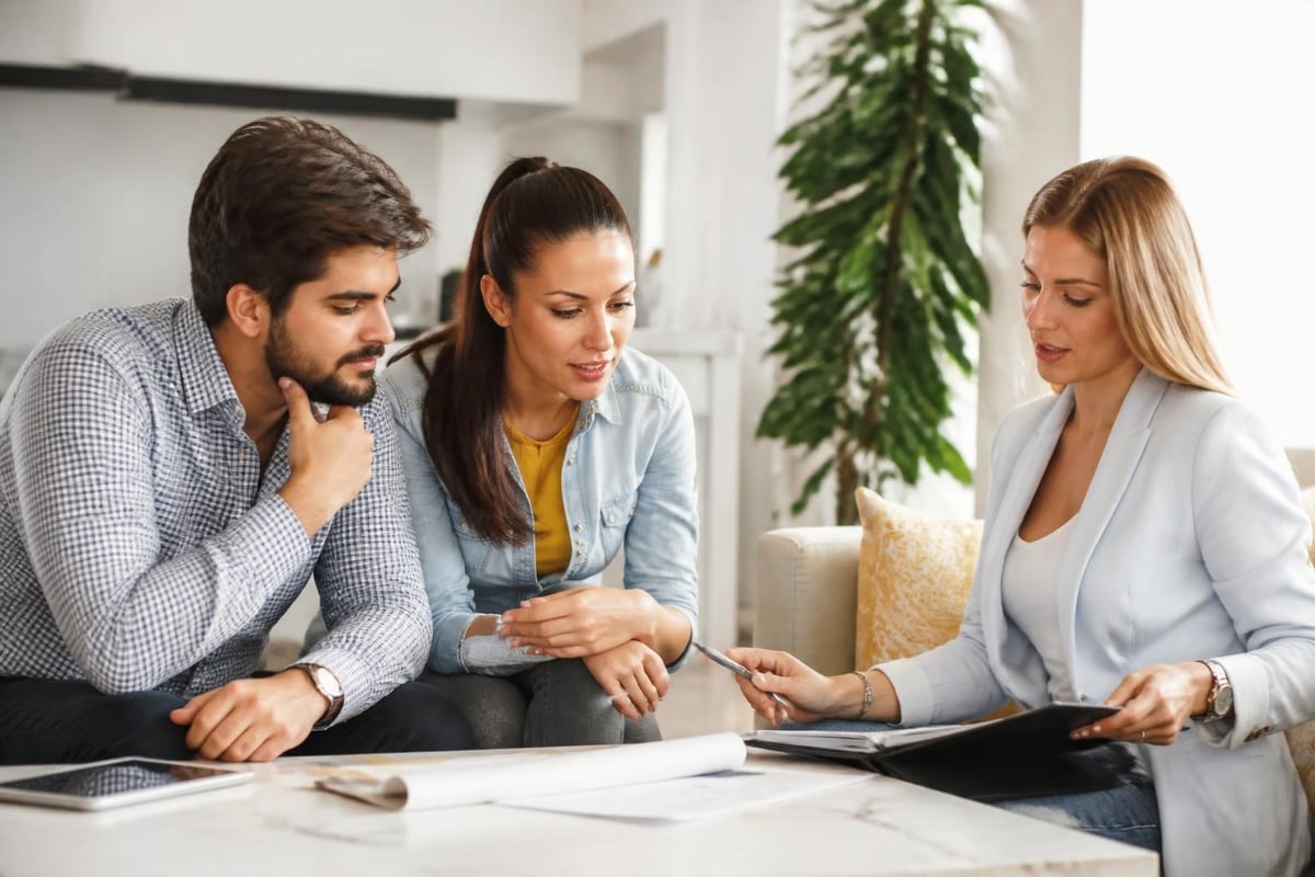 Client consultation process