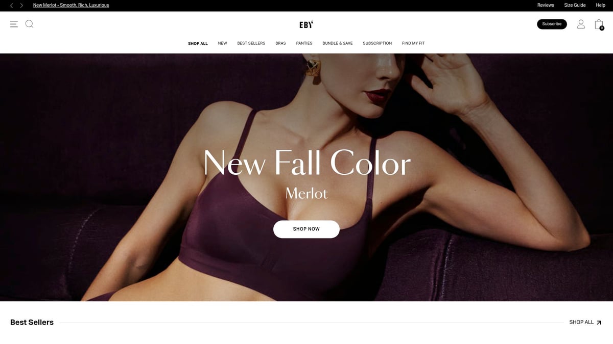 9 Best Underwear for Curvy Women in 2025 - Eby Seamless Brief