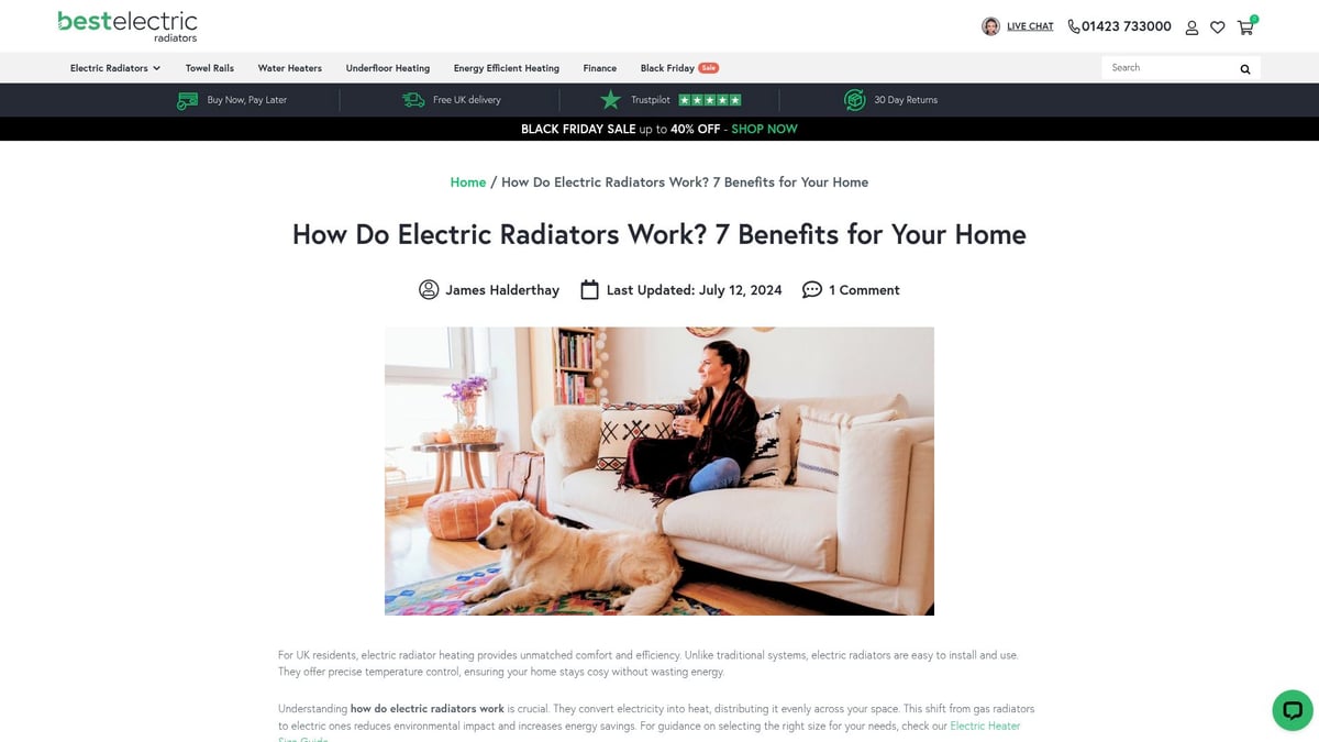 7 Top Heating Systems UK Options for 2025 Homes - 3. Electric Radiators & Panel Heaters