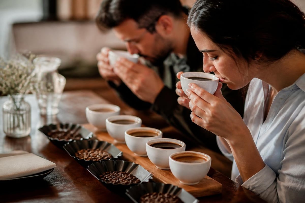Coffee flavor exploration