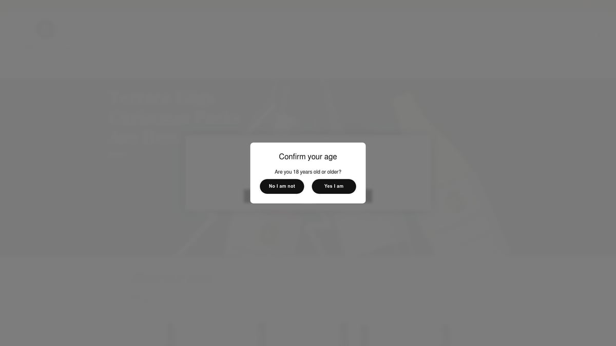 7 Must-Visit Waipara Vineyard Experiences for 2026 - Terrace Edge’s Olive Grove and Wine Walk