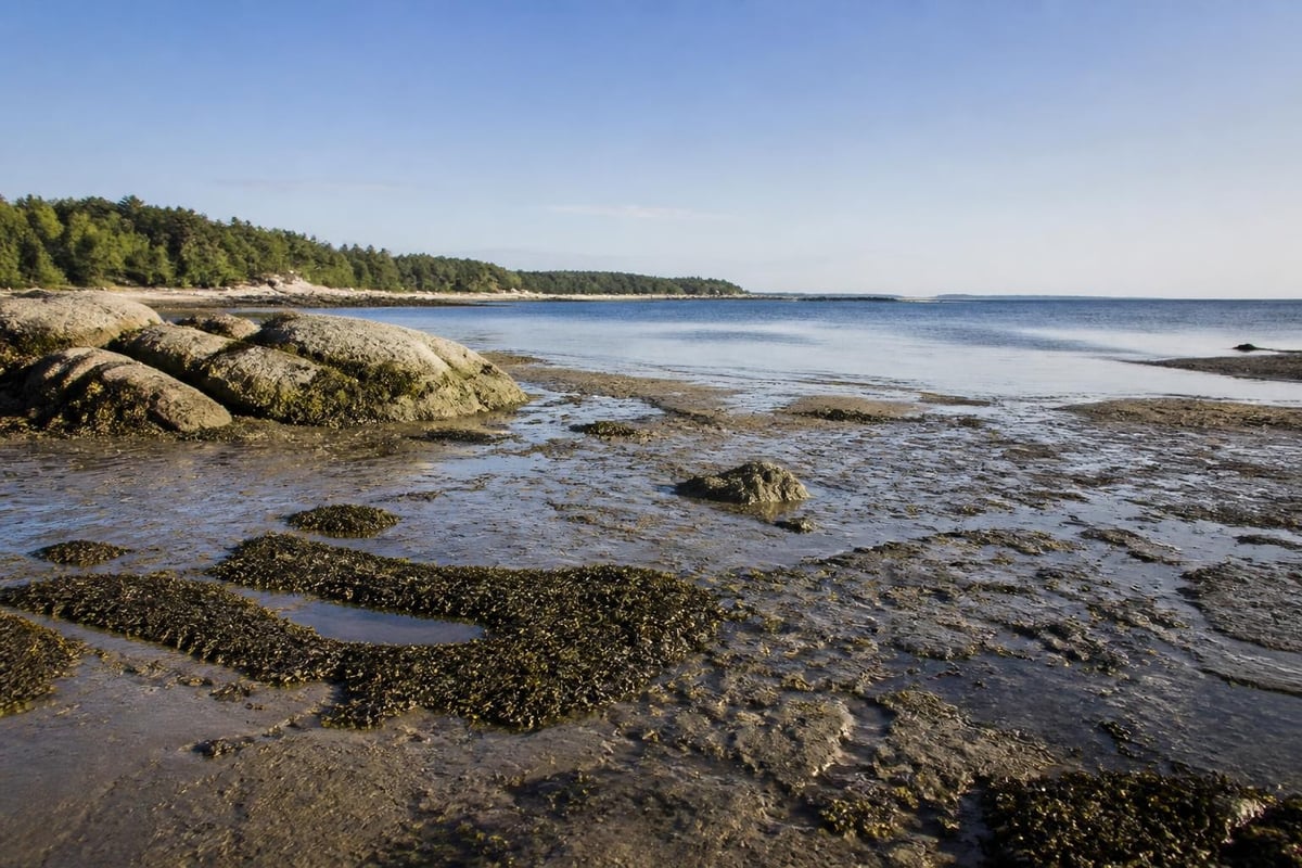 Tidal cycle at orchard beach maine