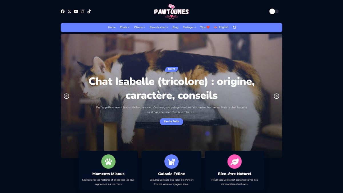 Pawtounes - Guide Complet Du Tigré Chat : Conseils Et Astuces 2025 - Guide Complet Du Tigré Chat : Conseils Et Astuces 2025 - Conseils et Communauté : S’informer et Partager sur Pawtounes