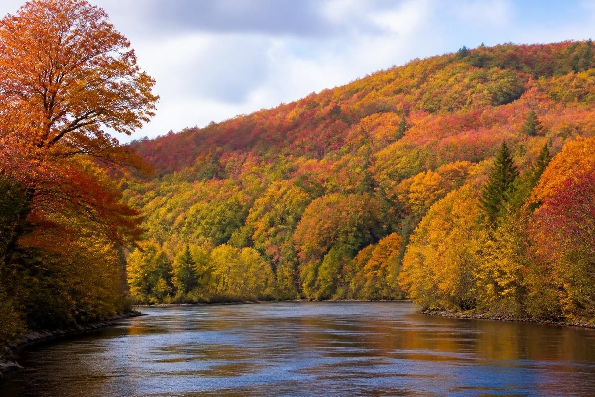 Fall foliage viewing strategy