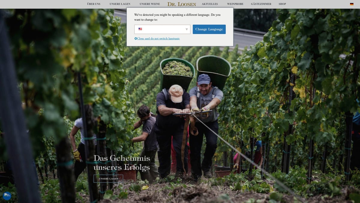 9 Unforgettable Winery Visits to Experience in 2025 - Weingut Dr. Loosen, Mosel, Germany