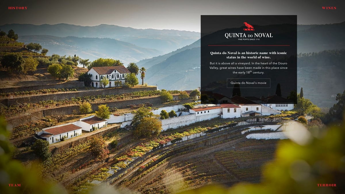 9 Unforgettable Winery Visits to Experience in 2025 - Quinta do Noval, Douro Valley, Portugal