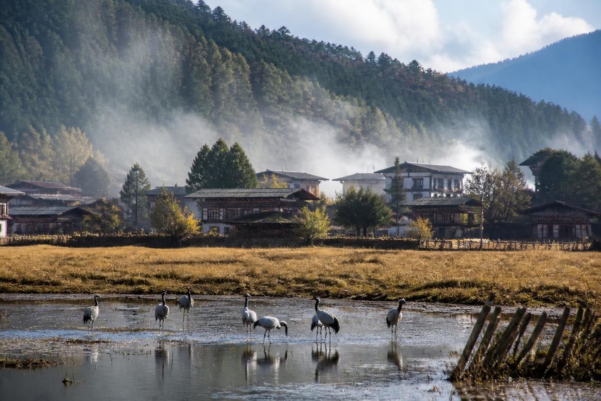 Phobjikha conservation ecosystem