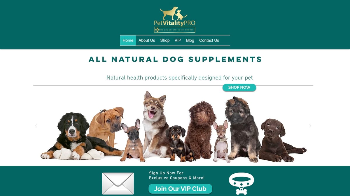 Top 9 Essential Picks for the Best Probiotic for Dogs 2025 - PetVitalityPRO Probiotics for Dogs with Natural Digestive Enzymes