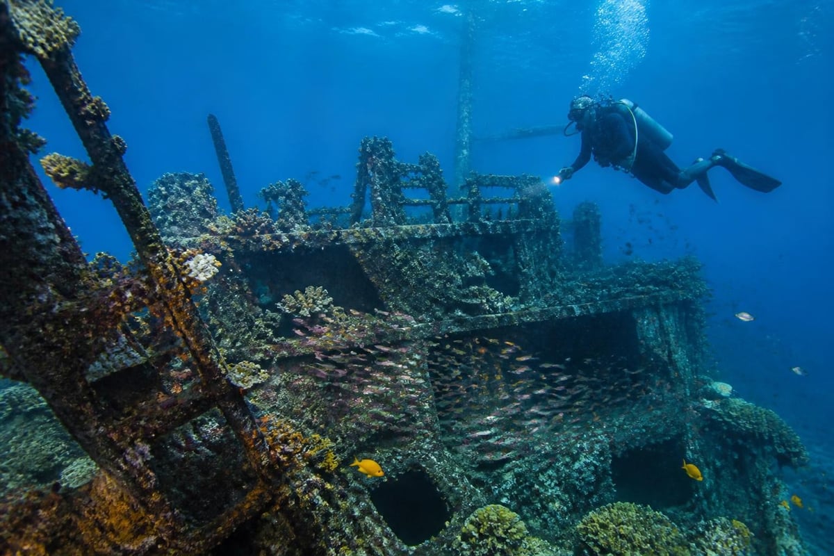 Coron wreck diving features
