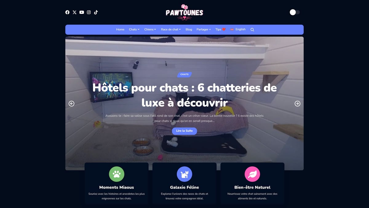 Pawtounes - Guide Complet pour les Chats : Conseils Essentiels 2025 - Guide Complet pour les Chats : Conseils Essentiels 2025 - Pawtounes : Votre allié pour des conseils félins au quotidien