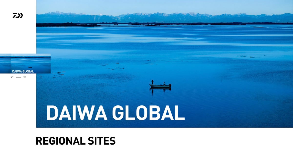 Top 7 Best Fishing Rod Brand Picks for 2026 - Daiwa