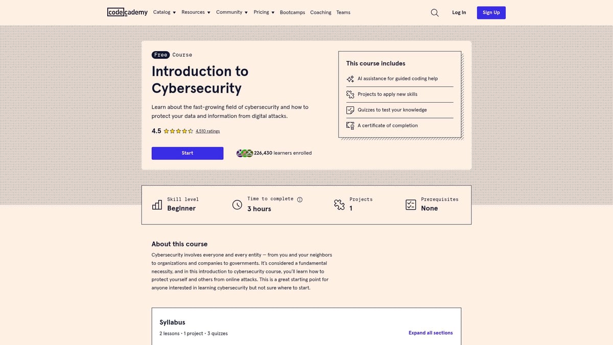 Top 10 Courses Under £500 to Boost Your Skills in 2026 - Introduction to Coding (Codecademy)