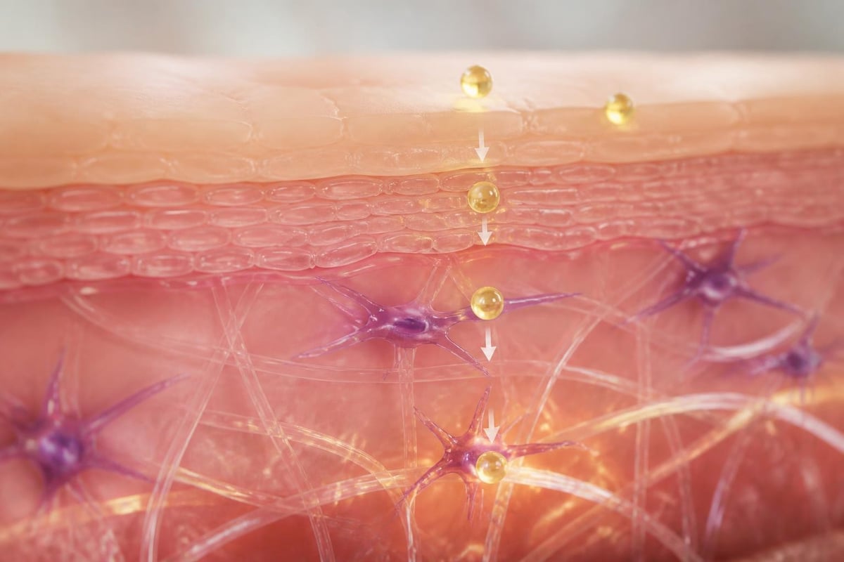 Retinol absorption process