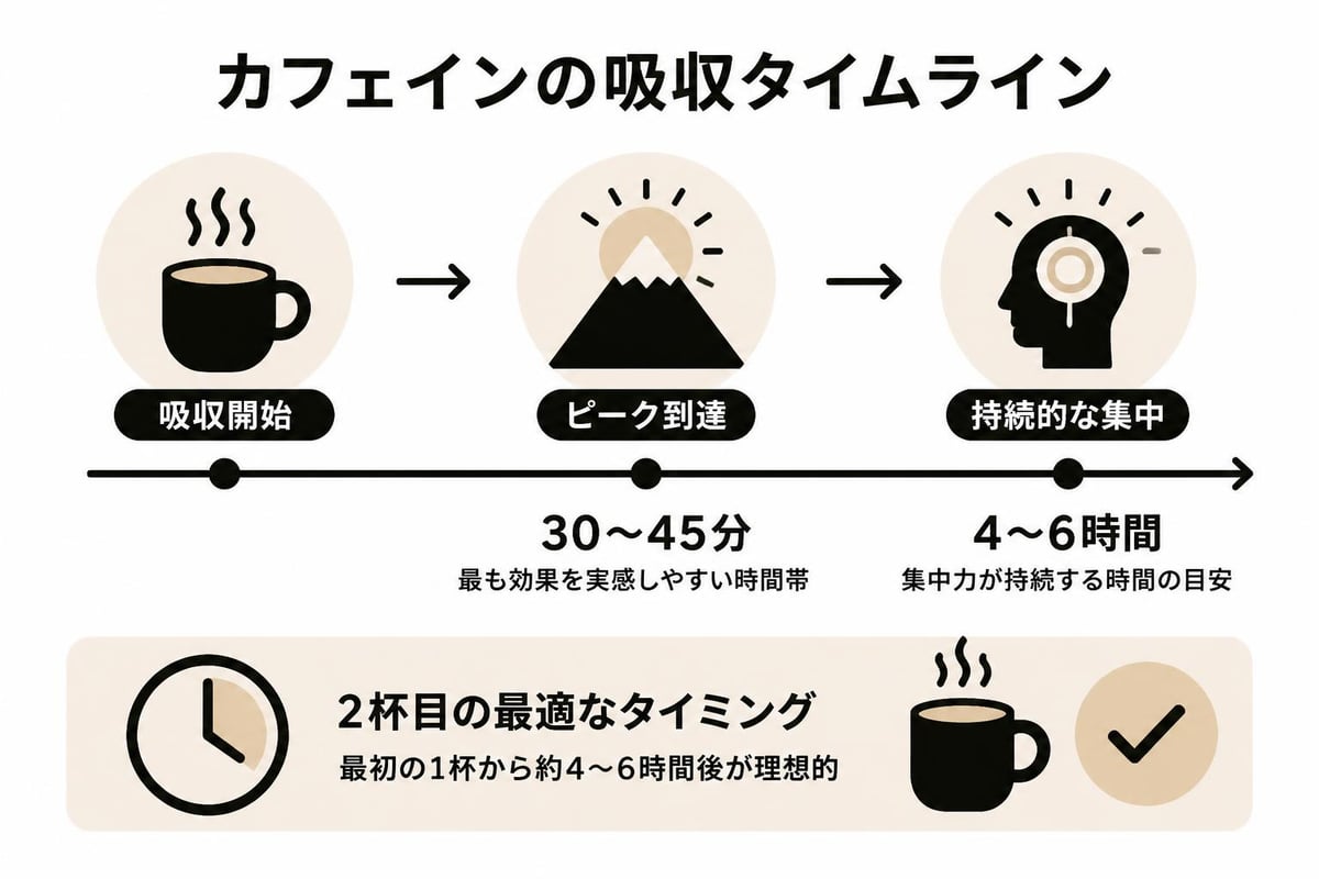 コーヒー摂取のタイミングと集中力の関係
