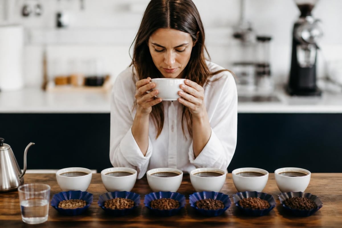 Coffee flavor exploration journey