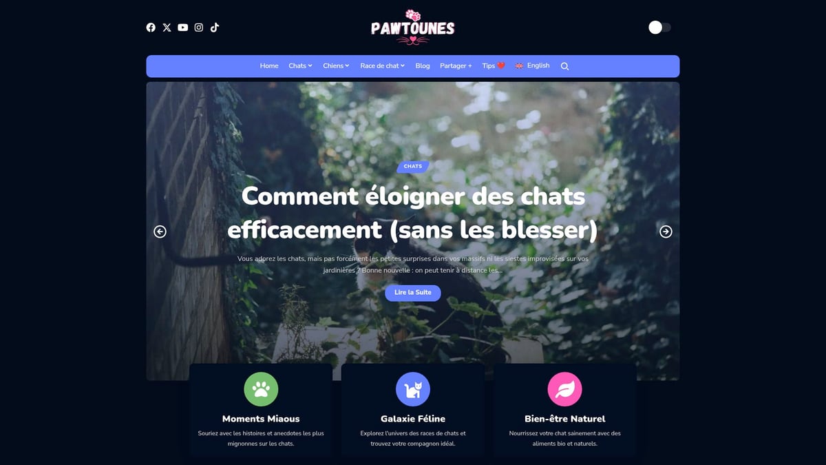 Pawtounes - Guide Complet de Chat : Maîtriser l’Essentiel en 2025 - Guide Complet de Chat : Maîtriser l’Essentiel en 2025 - Pawtounes : Votre allié pour des conseils pratiques et bienveillants
