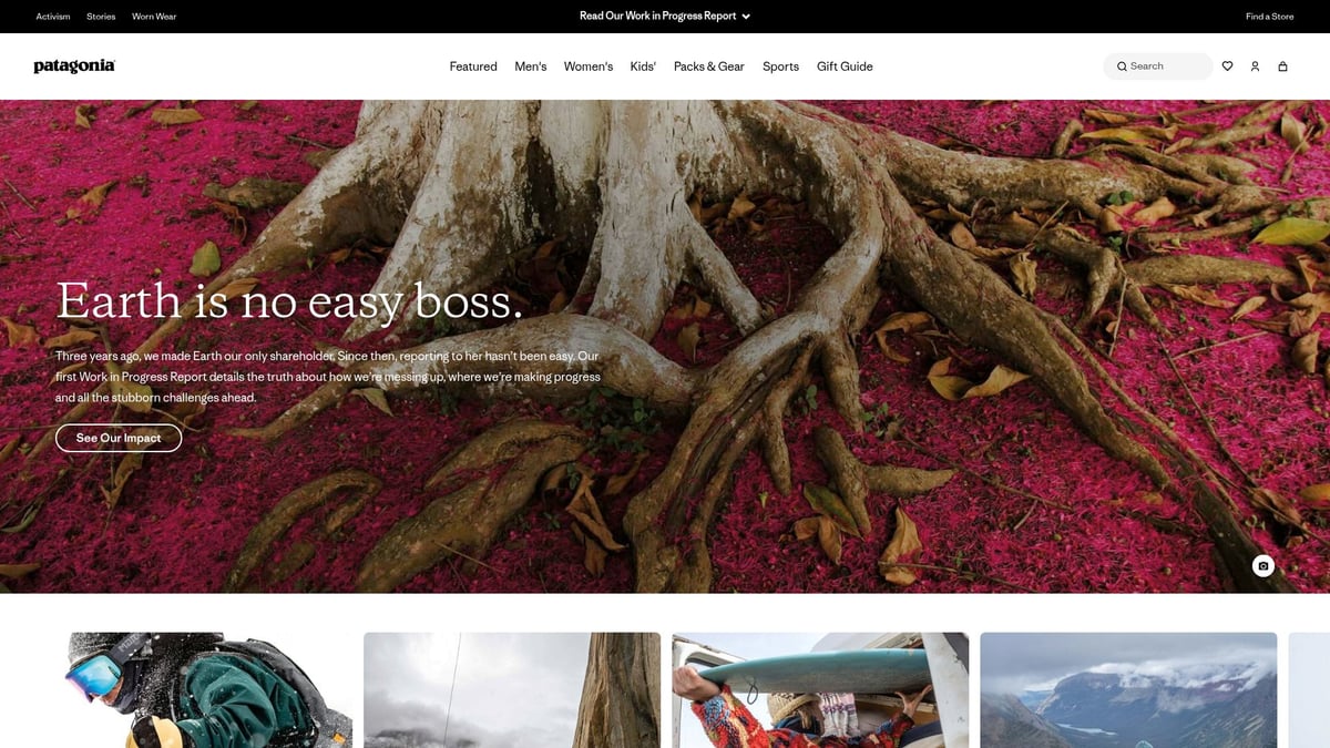 9 Essential Outdoor Wear Stores to Explore in 2025 - Patagonia