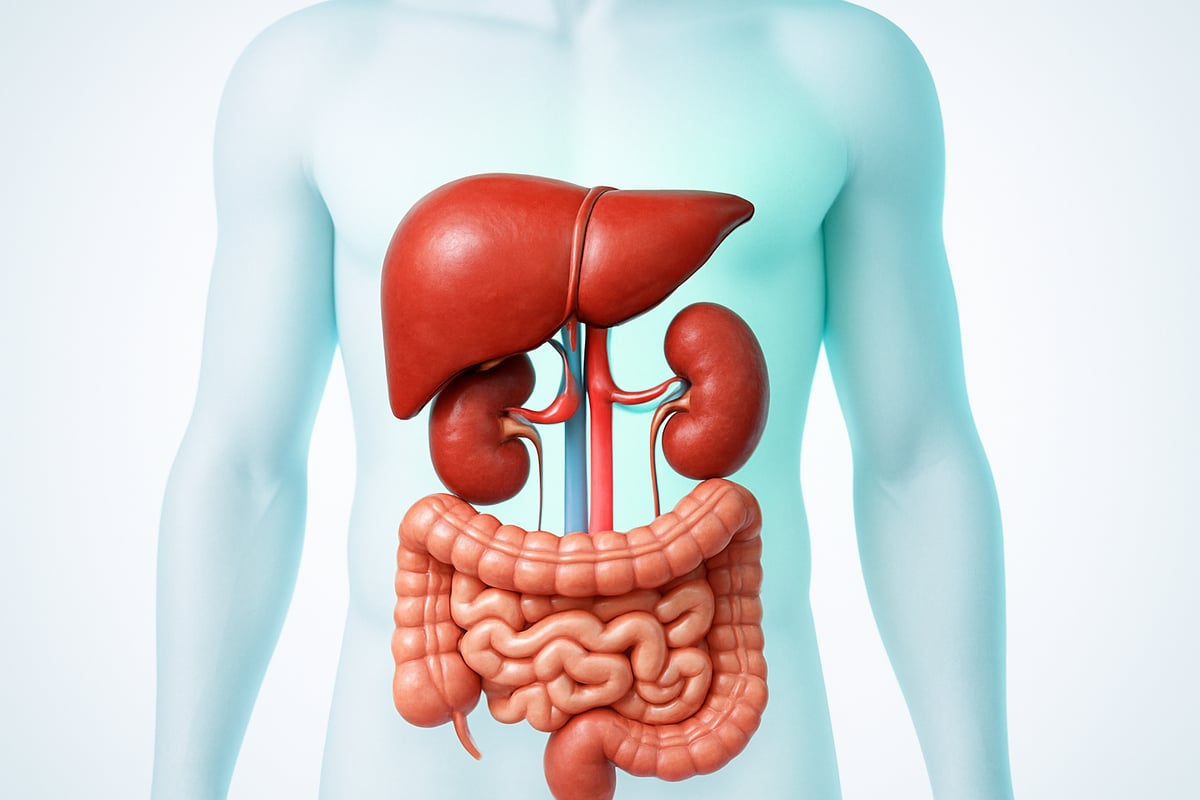 The Body’s Natural Detoxification Systems