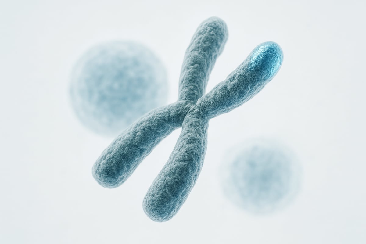テロメアとは何か？基礎知識と老化・健康との関係