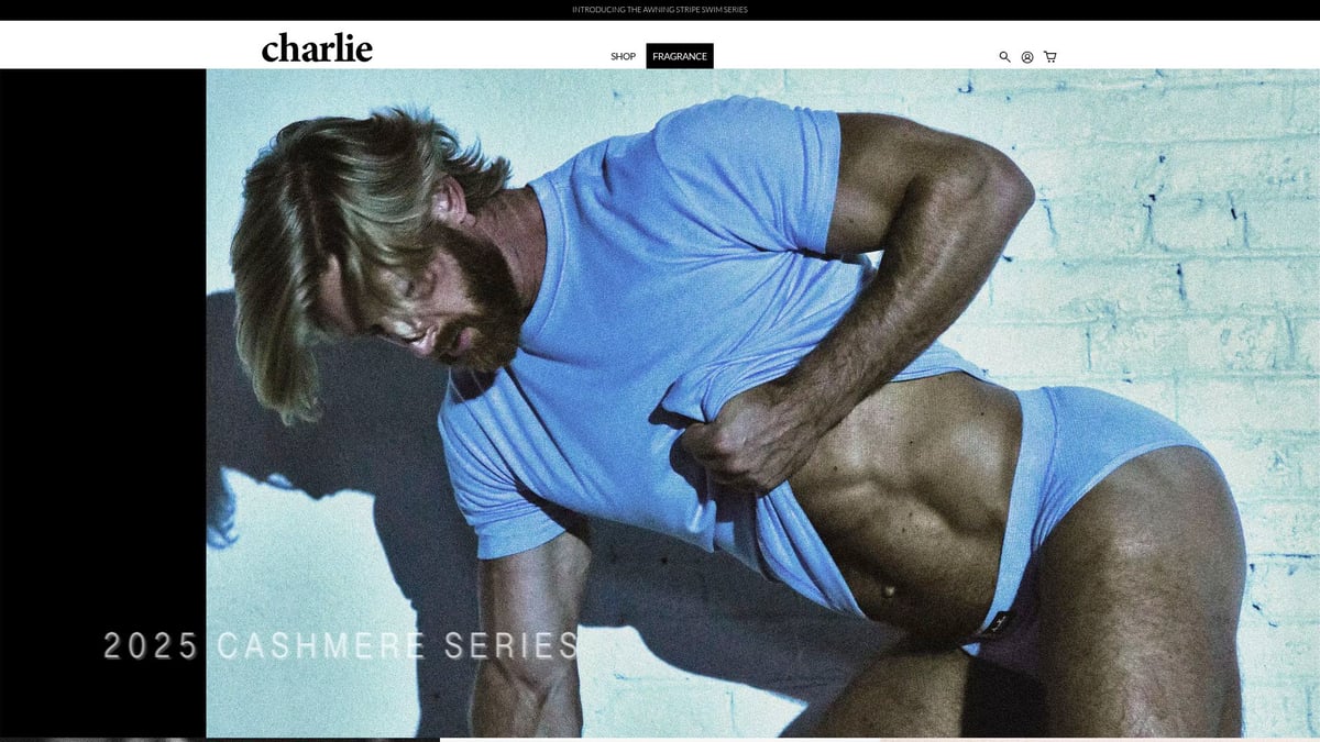 9 Essential Mens Swimsuit Briefs for Style in 2025 - Charlie by MZ Classic Swim Brief