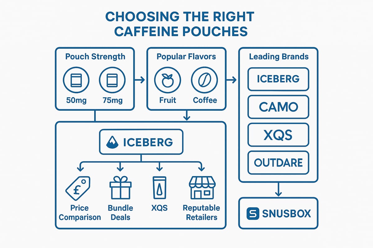 Choosing the Right Caffeine Pouch for You