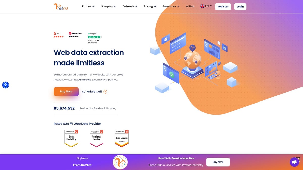 7 Top Proxy Services You Need to Try in 2025 - NetNut
