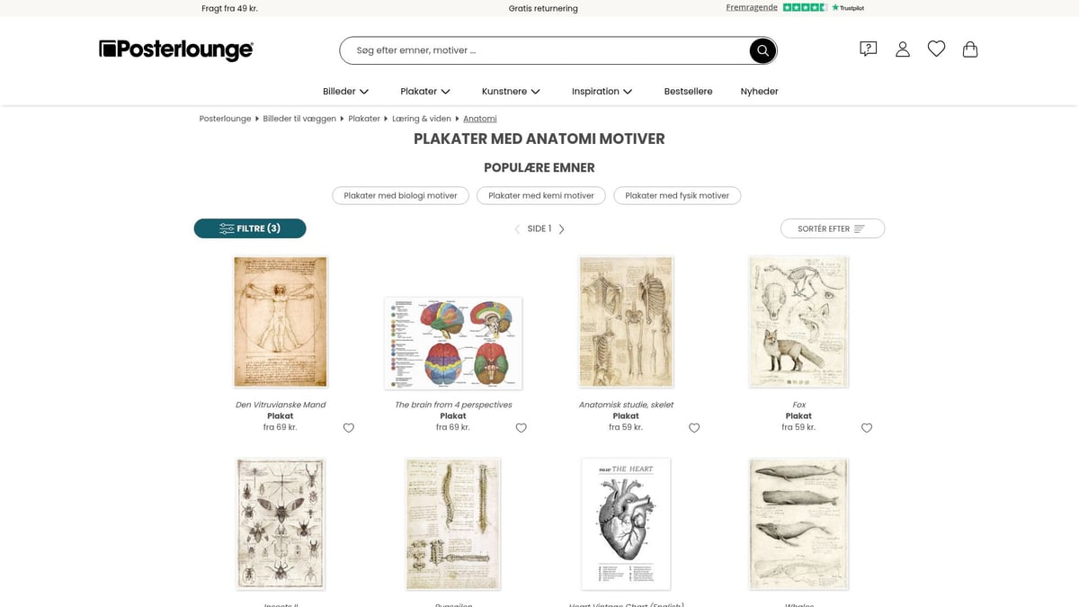 7 Inspirerende Plakater Anatomi Til Dit Rum 2025 - Posterlounge – Vintage Anatomiske Plakater