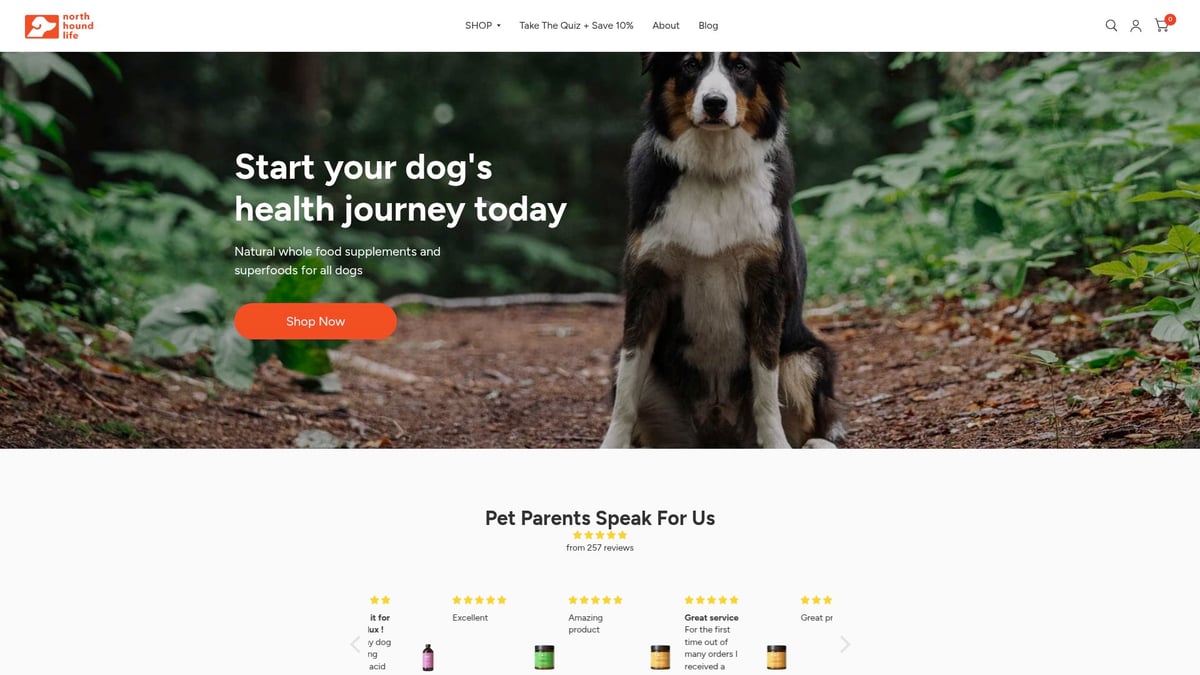 7 Essential Dog Gut Health Supplement Picks for 2025 - North Hound Life Probiotic+ (Canine-Specific Probiotic Blend)