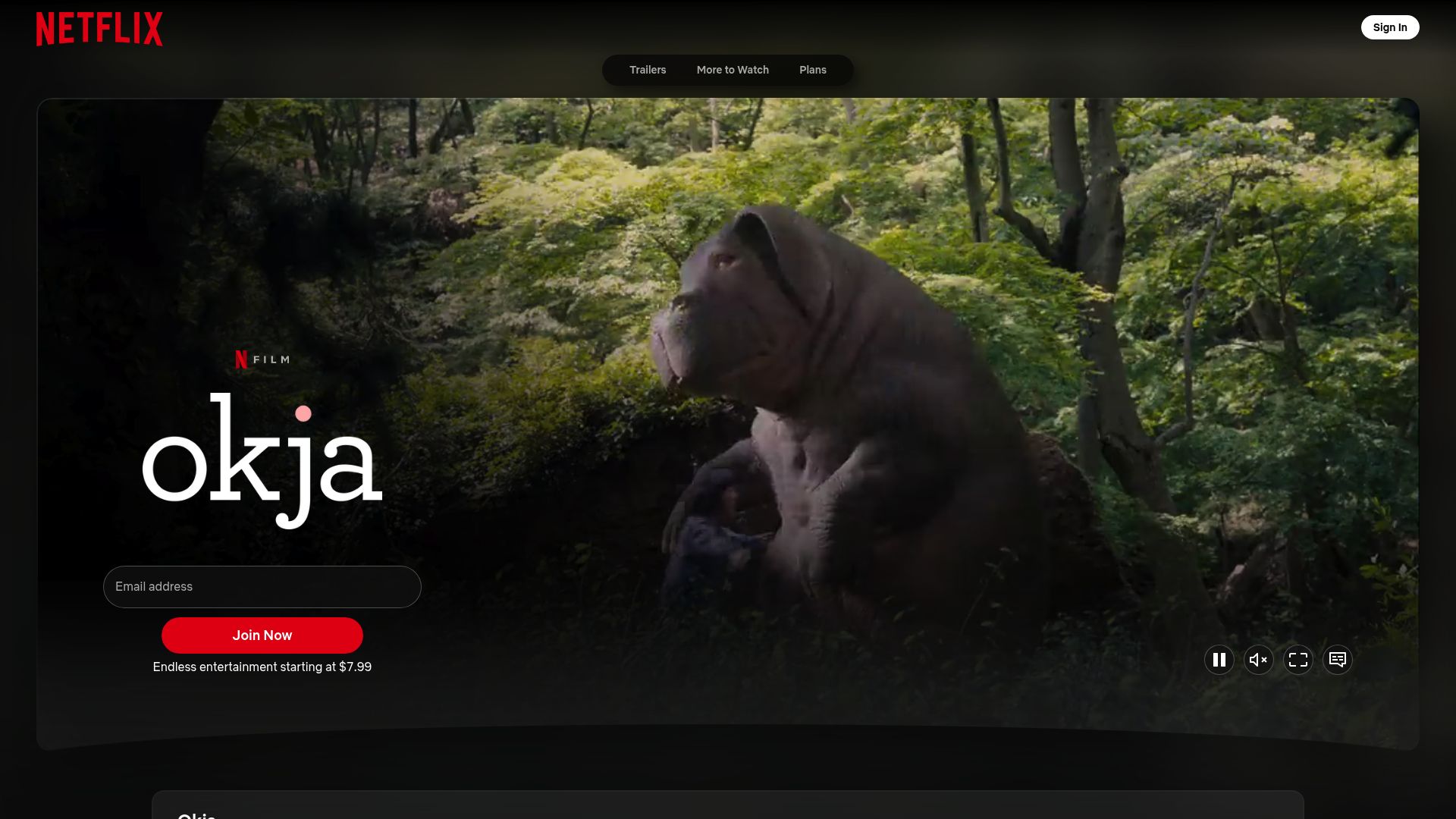 Top 12 Best Drama Movies on Netflix to Watch in 2025 - Okja (2017)