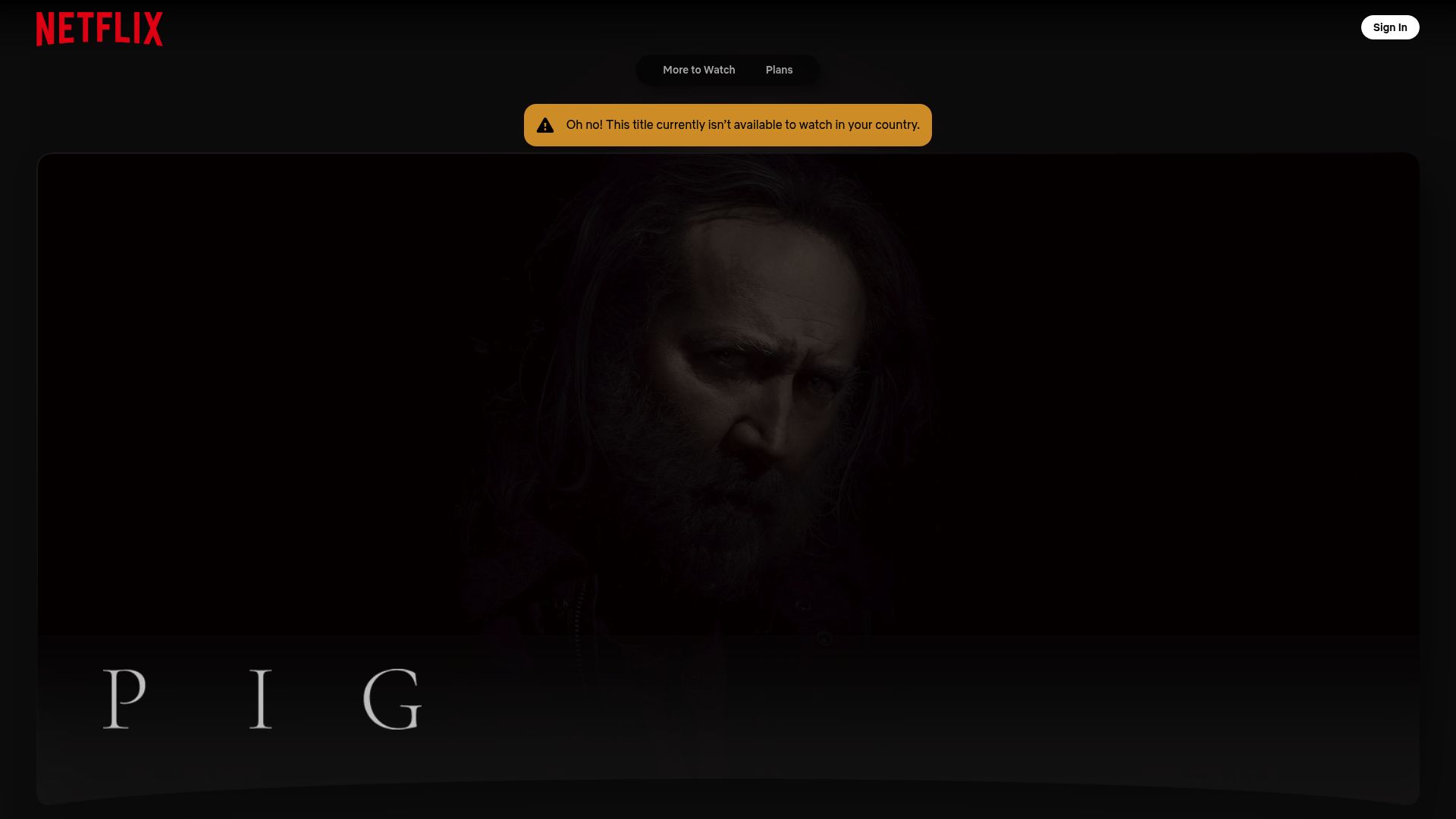 Top 12 Best Drama Movies on Netflix to Watch in 2025 - Pig (2021)