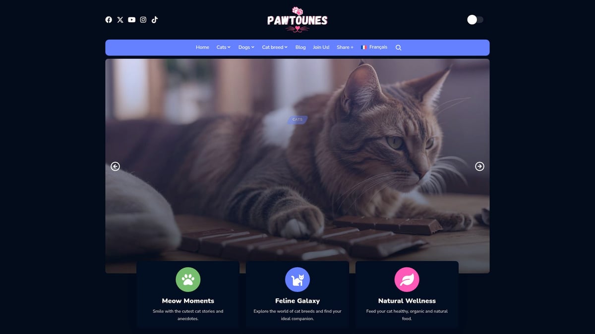 Pawtounes - 12 Noms De Chat Originaux À Découvrir En 2026 - 12 Noms De Chat Originaux À Découvrir En 2026 - Pawtounes : L’allié des passionnées de chats originaux