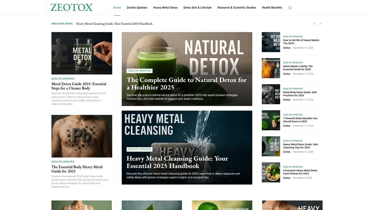 Natural Metal Detox Guide: Your Essential Handbook for 2025 - Zeotox: Your Resource for Zeolite Detox Information