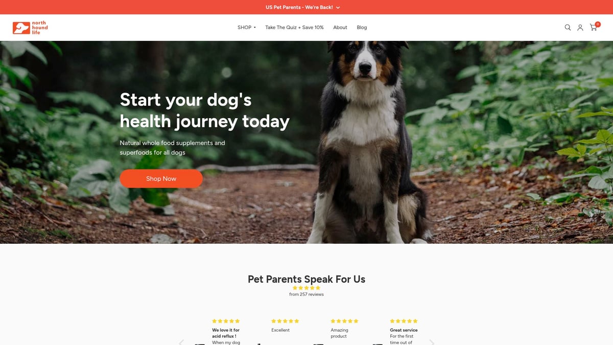 7 Essential Top Foods For Dogs Every Owner Should Try 2025 - Natural Whole-Food Supplements & Superfoods