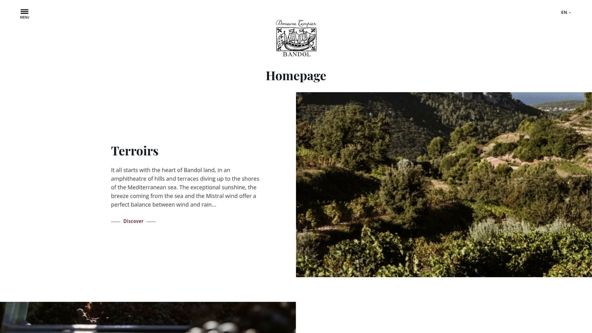 7 Best Great Tasting Wine Picks to Try in 2025 - Domaine Tempier Bandol Rosé 2023