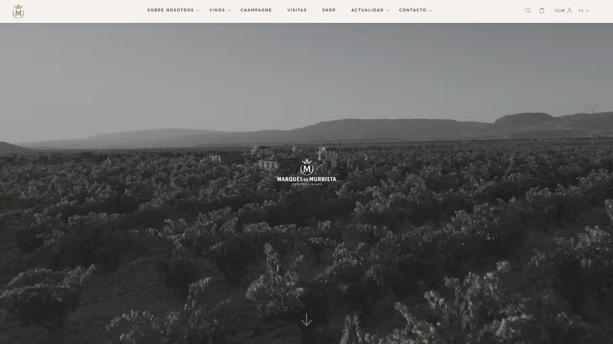 7 Best Great Tasting Wine Picks to Try in 2025 - Marqués de Murrieta Rioja Reserva 2018