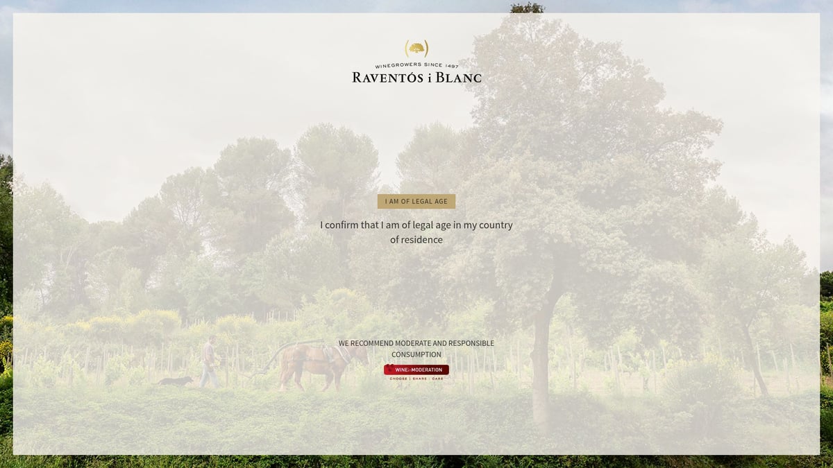 7 Best Great Tasting Wine Picks to Try in 2025 - Raventos i Blanc De Nit Brut Rosé 2021