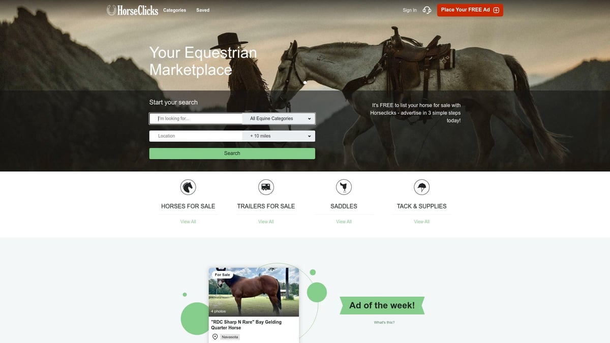 7 Best Second Hand Tack for Sale Picks in 2025 - HorseClicks – Best Classifieds for Local Deals