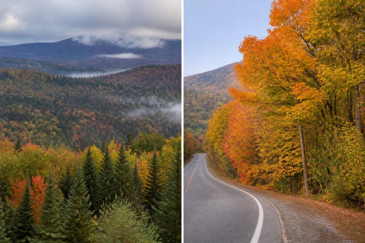 Peak foliage timing across Maine regions