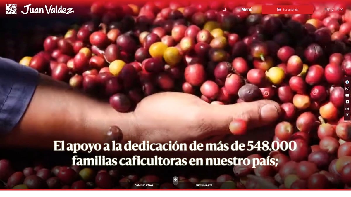 7 Best Colombian Coffee Beans for Sale in 2026 - Juan Valdez – Organic Sierra Nevada