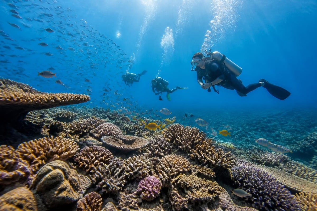 Marine conservation zones in Palawan